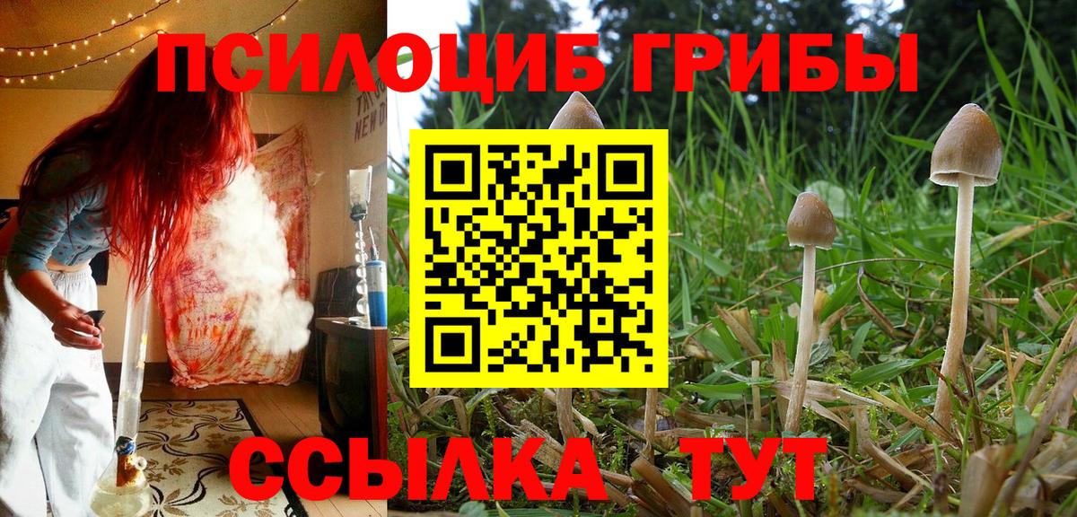 Калуга  Псилоцибиновые грибы мицелий  Вход с VPN 